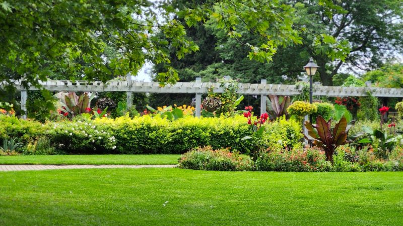 Charming summer garden with vibrant flowers and lush greenery in Toronto. — Getting a Landscaper Enhances Entrance Charm