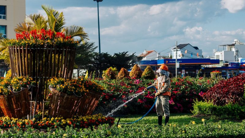 Gardener watering a lush flower bed in Kon Tum, Vietnam, on a sunny day. — How to begin Your Personal Landscaping Business